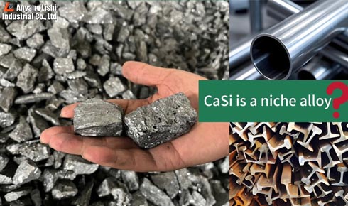 Why is Calcium Silicon (CaSi) Called a Niche Alloy?